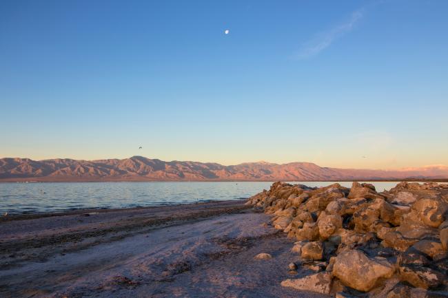 View of lake shore