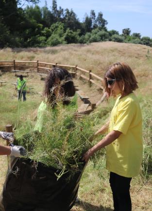 Volunteers clean up local trails